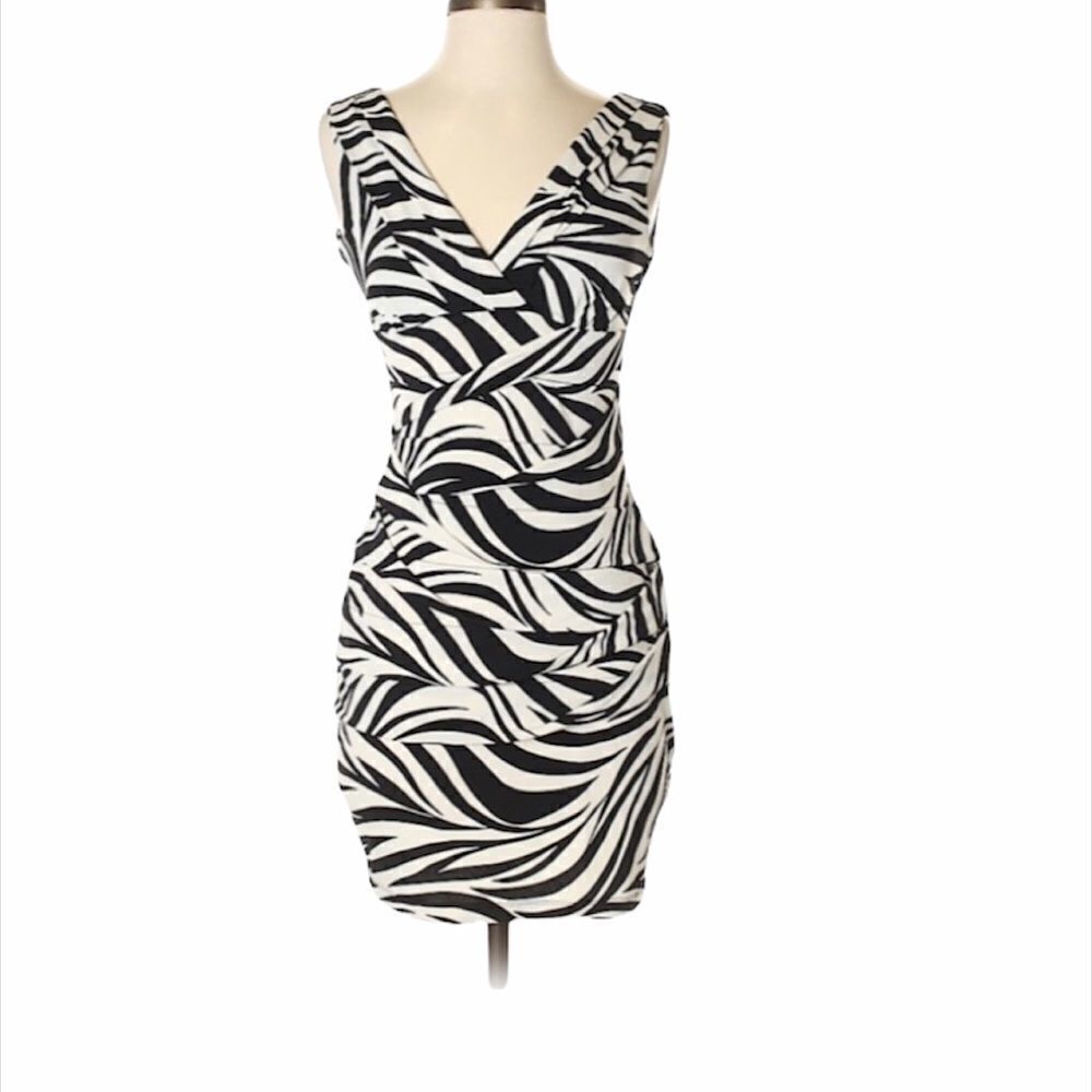 ✨HP✨Sweet Storm Zebra Ruched Dress✨